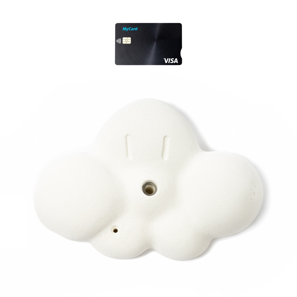 D-Cloud