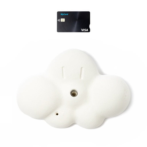 D-Cloud