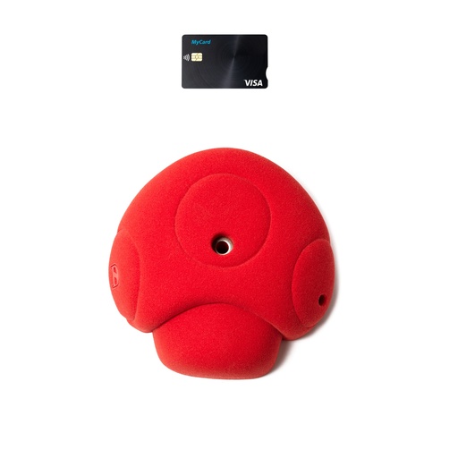 D-Mushroom
